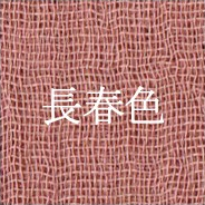 長春色（Chōshun-iro｜Dusty Eternal Spring Rose）